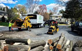 Best Commercial Tree Services  in Oakland, CA